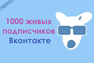 1000 живых подписчиков Вконтакте