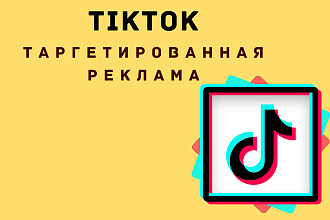 Таргетированная реклама TikTok Ads