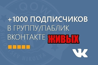 1000 подписчиков в паблик вконтакте