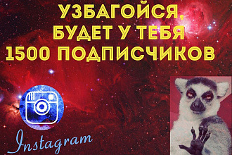Добавлю 1500 подписчиков в сети instagram