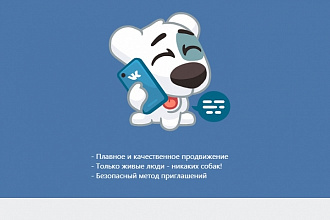 Живые подписчики ВКонтакте