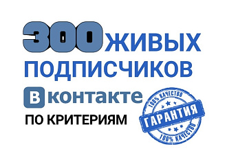 300 качественных подписчиков Вконтакте по критериям. Живые + Гарантия