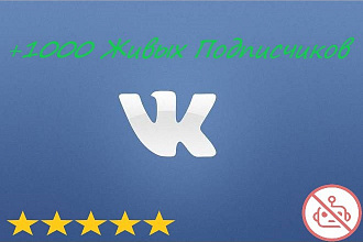 +1000 Живых Подписчиков Вконтакте, без ботов