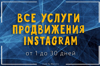 Услуги продвижения Instagram в течение 30 дней. Подписчики и лайки