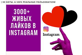 +3000 лайков в Instagram от живых подписчиков