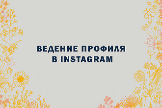 Ведение профиля в Instagram