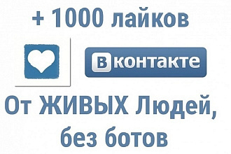 +1000 качественных лайков ВКонтакте на посты, фото, комментарии
