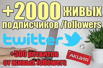 2000 подписчиков в twitter
