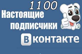 1100 Подписчиков в ВК