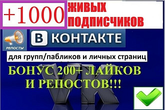 Продвижение группы Вконтакте + 1000 подписчиков в группу + бонус