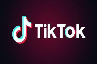 150 подписчиков на TikTok