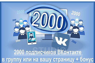 2000 подписчиков ВКонтакте в группу или на вашу страницу + бонус