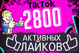 2800 Активных лайков на ваш TikTok аккаунт