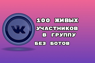 За день 100 живых участников в группу ВКонтакте. Без ботов
