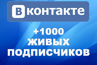 1000 подписчиков - друзей Вконтакте на Ваш профиль, в группу, паблик