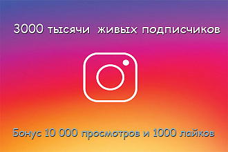 3000 живых подписчиков на ваш аккаунт Instagram