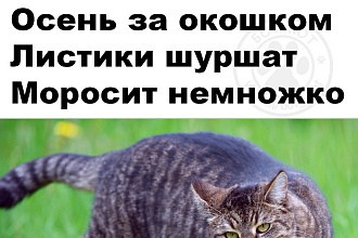 Добавлю 1500 качественных лайков в VK