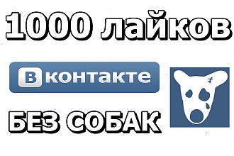 1000 лайков и просмотров от живых людей во Вконтакте