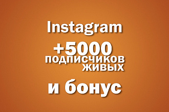 Сделаю 5.000 подписчиков в Instagram + бонус 1000 лайков и 1000показов
