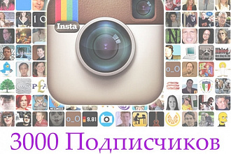 3000 Качественных Подписчиков Instagram плюс 4000 просмотров видео
