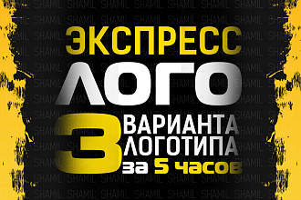 3 варианта логотипа за 24 часов