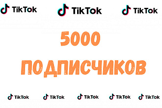 5000 подписчиков в Tik Tok