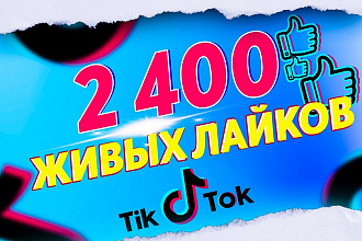 2400 Лайков в TikTok от Живых пользователь