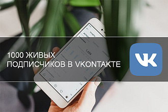 1000 ЖИВЫХ подписчиков в ВКонтакте