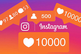 3000 инстаграм подписчиков