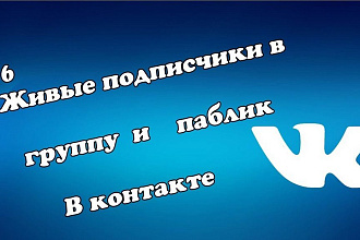 40 реальных подписчиков ВКонтакте - гарантия 90 дней