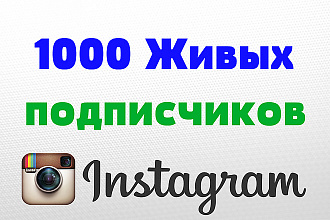 1000 подписчиков на профиль в Instagram