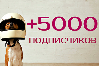 5.000 подписчиков в Instagram + бонусы