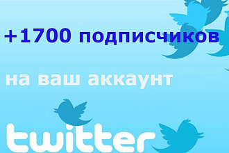 +1700 подписчиков на ваш аккаунт Twitter