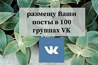 Размещу Ваши посты в 100 группах во Вконтакте