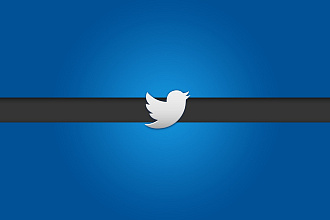 300 живых подписчиков в Twitter с гарантией на 30 дней