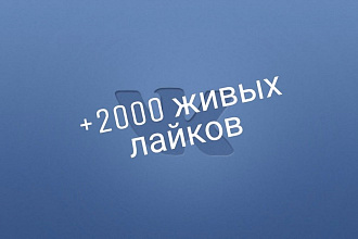 2000 лайков от живых людей во ВКонтакте