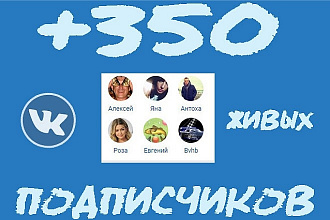 Привлеку 350 премиум подписчиков ВКонтакте
