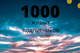 1000 живых и реальных подписчиков