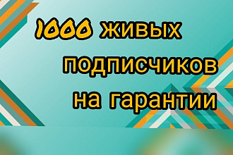 1000 живых подписчиков