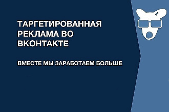 Таргетированная реклама в ВКонтакте. Настройка и ведение РК