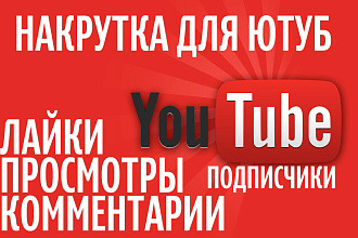 2500 Просмотров Youtube, Живые подписчики