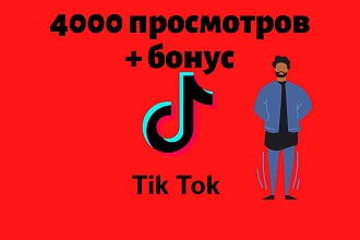 TikTok - 4000 просмотров