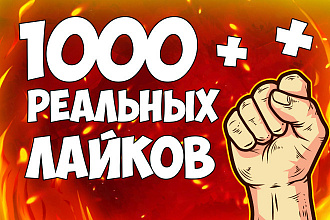1000 лайков в ВКонтакте, можно распределить
