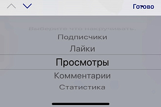 Раскрутка подписчиков в Инстаграмм