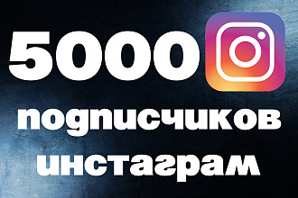 5000 инстаграм подписчиков нежив