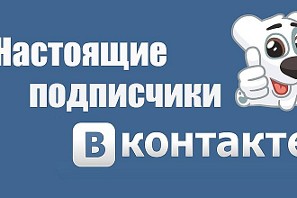 1000 Подписчиков в вашу группу Вконтакте