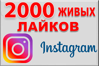 2000 живых лайков на пост + частично охват и показы в Instagram