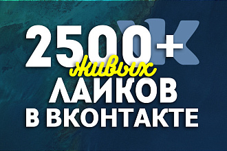 Добавлю 2500 качественных лайков в вк