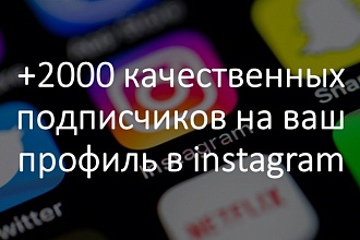 +2000 подписчиков в instagram