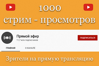 1000 стрим-просмотров YouTube. Зрители на прямую трансляцию